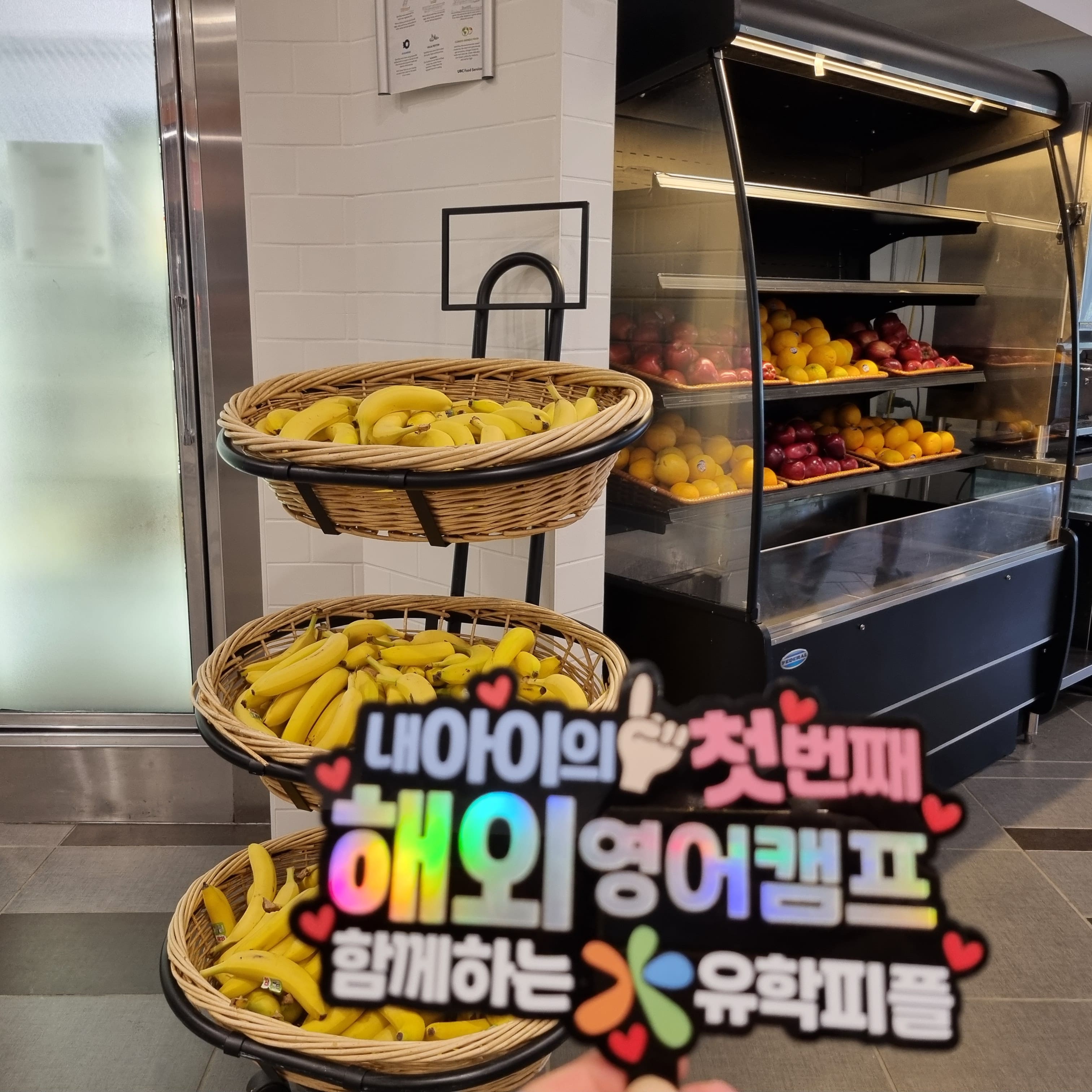 캠프 활동 사진